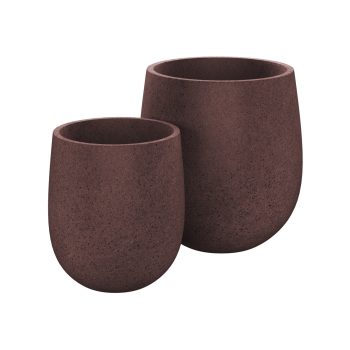 Cedar Planten Set