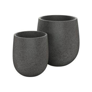 Cedar Planten Set